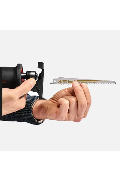 Einhell TE-AP 750 E Kılıç Testere - 3