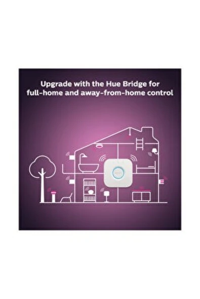 Philips Hue Iris Gümüş Akıllı Masa Lambası - 4