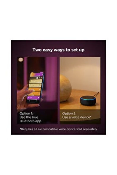 Philips Hue Iris Gümüş Akıllı Masa Lambası - 3