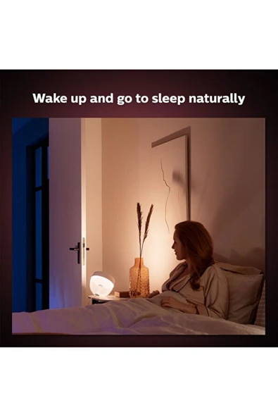 Philips Hue Iris Gümüş Akıllı Masa Lambası - 8