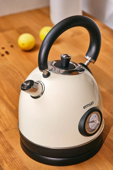 Emsan Turtle Kettle Cream - 3