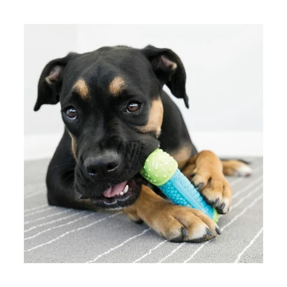 Kong Core Strength Kemik Şeklinde Köpek Oyuncağı M/L - 2
