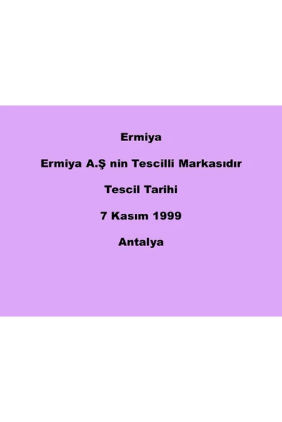 Ermiya 4 Adet Ebi Şezlong Minderi 180-55-5 Cm Su Geçirmez Fermuarlı - Resim 3