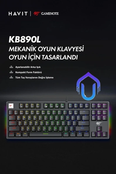 Havit Gamenote KB890L Arkadan Aydınlatmalı Gaming Türkçe Q Klavye Blue Switch