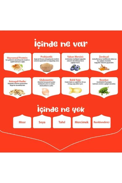 Tavuklu Tahılsız Yetişkin Köpek Maması 1.5 Kg - Resim 4