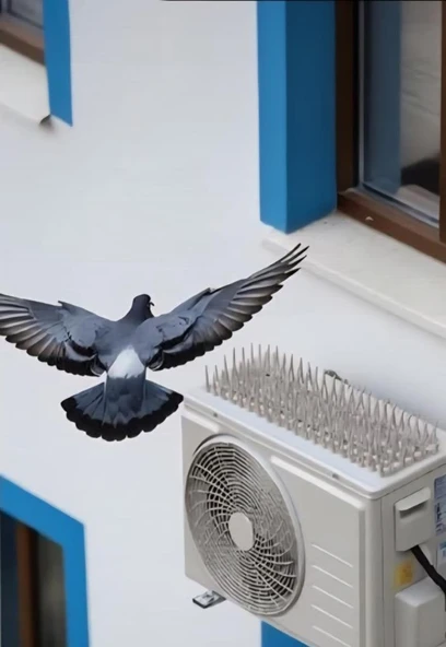 Kuş Kovucu Kuş Kondurmaz Dikenler 8cmx40cm 2 Adet - Resim 5