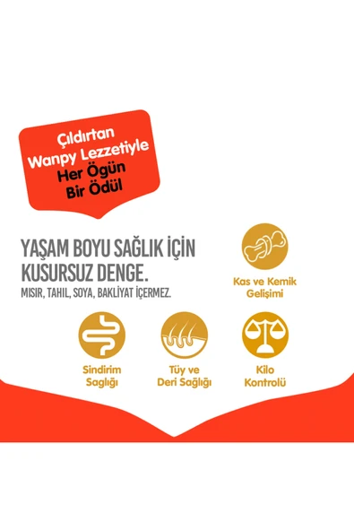 Sığır Etli Tahılsız Yetişkin Köpek Maması 1.5 Kg - Resim 3