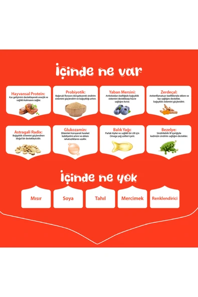 Sığır Etli Tahılsız Yetişkin Köpek Maması 1.5 Kg - Resim 4