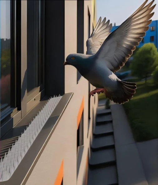 Kuş Kovucu Kuş Kondurmaz Dikenler 8cmx40cm 2 Adet - Resim 4