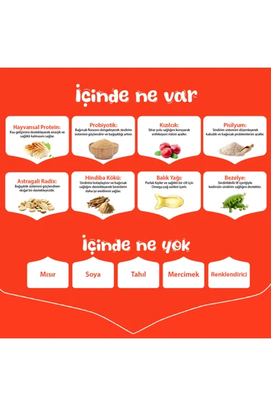 Tavuklu Tahılsız Yetişkin Kedi Maması Yetişkin (1 - 7 Yaş)-Hayır-1.5 Kg - Resim 4
