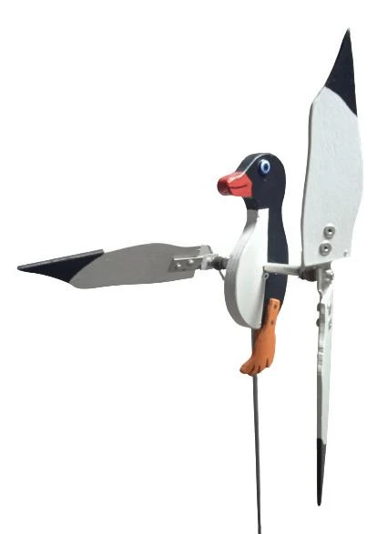Rüzgaristan Mini penguen - 1