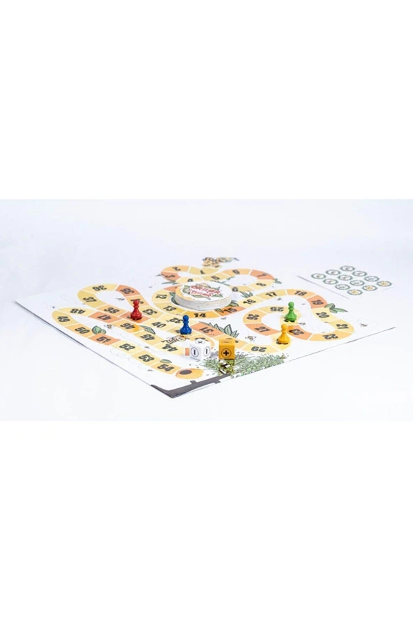 Çekirdek Arılar ve Sayılar - 3