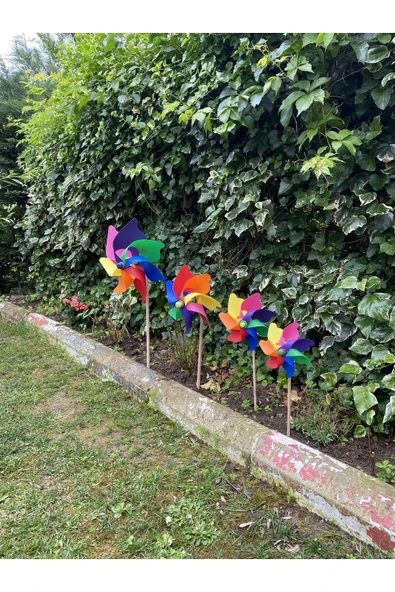 KARDEŞLER OYUNCAK Adet Kardeşler Rüzgar Gülü Gökkuşağı 20 Cm - Resim 2
