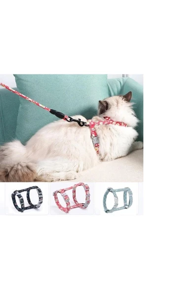 eshopinlock Kedi Göğüs Tasması Ve Gezdirme Seti Çiçekli Model Ayarlanabilir - 1