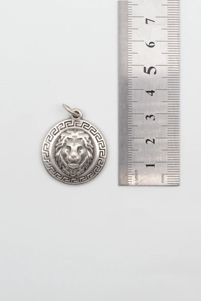 Kabartmalı Aslan Madalyon Kolye - Düz Ezme İthal Zincirli Unisex Gümüş Kaplama - 60 cm - Resim 3
