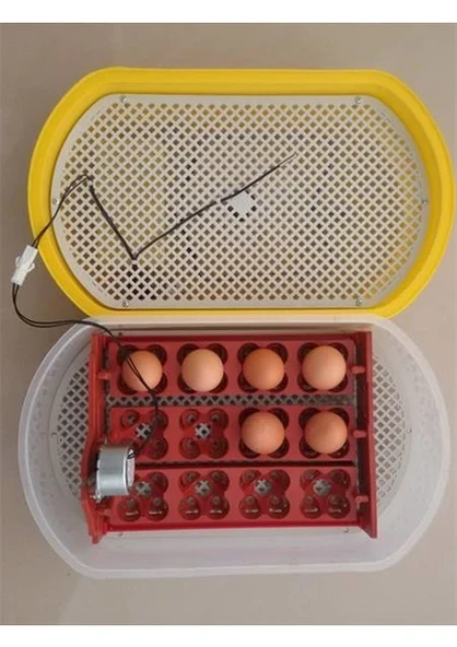 Efe Kuluçka Makineleri 48 Bıldırcın Yumurtası Kuluçka Makinesi - 1
