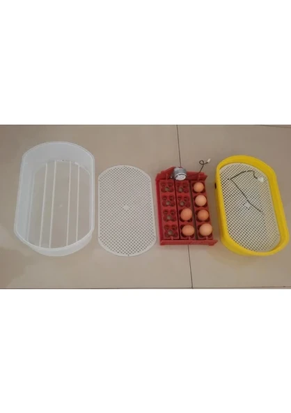 Efe Kuluçka Makineleri 48 Bıldırcın Yumurtası Kuluçka Makinesi - 3