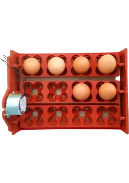 Efe Kuluçka Makineleri 48 Bıldırcın Yumurtası Kuluçka Makinesi - 2