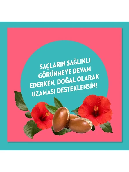 Elidor Doğanın Enerjisi Argan Yağı&Hibiskus Özü Şampuan 400 ml - Resim 5