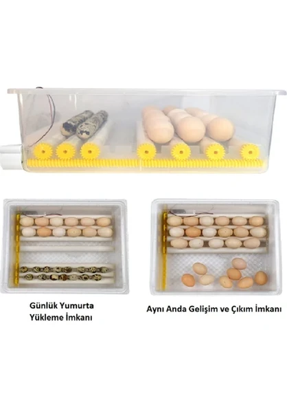 Efe Kuluçka Makineleri Kaz Yumurtası Uyumlu Kuluçka Makinesi - 4