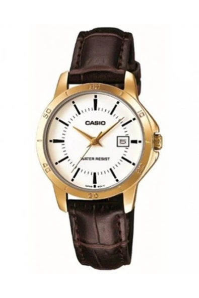 CASİO Ltp-v004gl-7audf Kadın Kol Saati ürün görseli