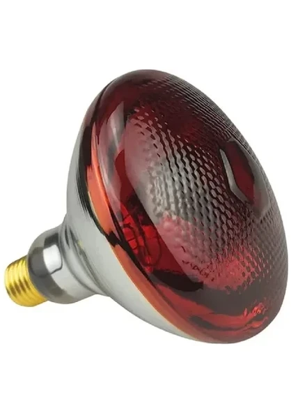 Efe Kuluçka Makineleri 8 Adet 250 Watt Infrared Isıtıcı Lamba ürün görseli