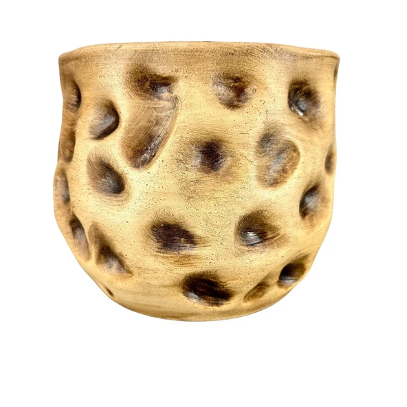 Bitki Tasarımı Ev Dekorasyon Aksesuar Naturel Desenli Toprak Saksı Saksılık Salon Çiçeklik 19 CM ürün görseli