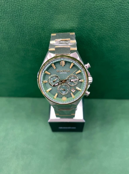 Quantum Pwg1202.270 Erkek Kol Saati ürün görseli 1