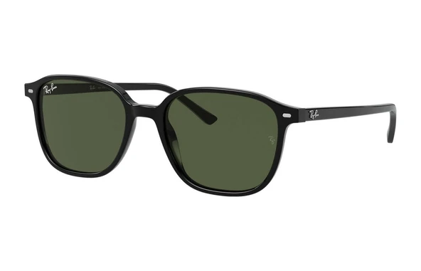 Ray-Ban RB2193 Leonard 901/31 Unisex Güneş Gözlüğü ürün görseli 1