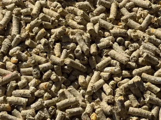 Elektrikli Pelet Makinesi 2 Top 10 Beygir 380V Trifaze-Tarımgaraj - Resim 3