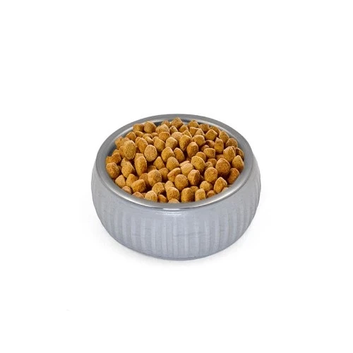 Mikopet Organik Seramik Mama Kabı Gri - 5