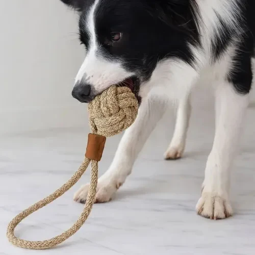 Mikopet Köpek Oyun Topu - 3