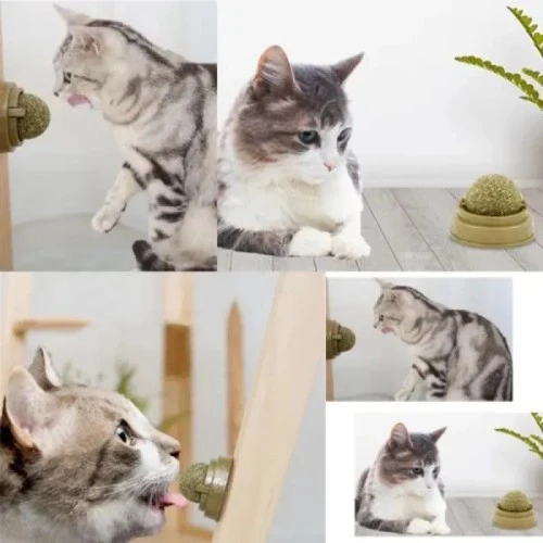 Kedi Nanesi Oyun Topu - 2