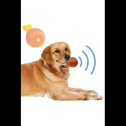 Köpekler İçin Sesli Oyuncak Tavuk Butu - 4