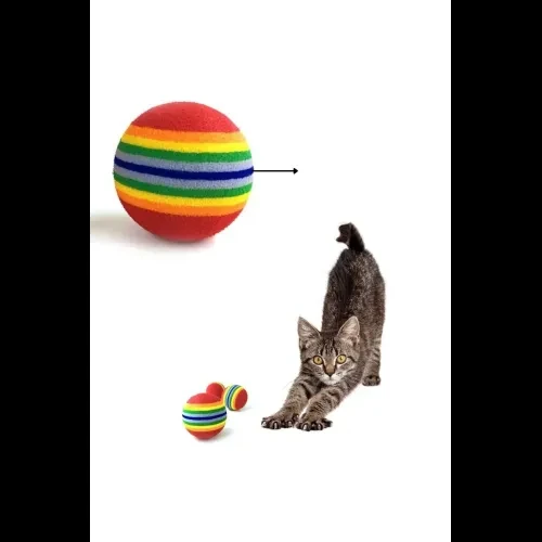 Sünger Kedi Köpek Çiğneme Ve Oyun Topu 4 Adet - 3