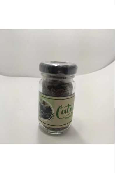 Catnip Doğal Kedi Otu - Kedi Nanesi - Resim 4