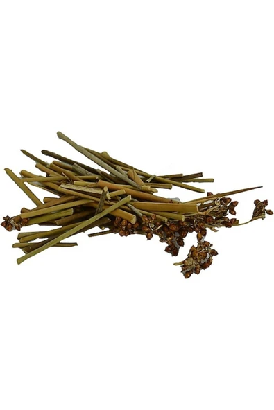 Kayışkıran Otu 50gr ürün görseli