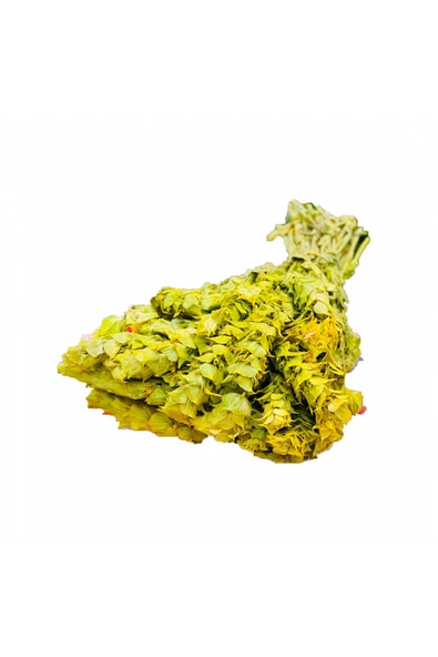 Yayla Çayı Anamur Demet 1Ad ürün görseli 1