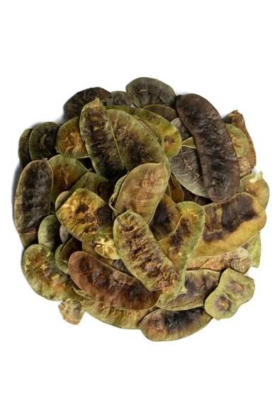 Nk Organik Açlık Otu Çayı 100gr ürün görseli