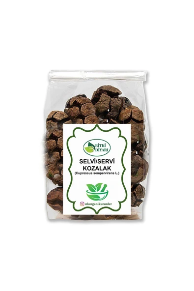 Nk Organik Servi Kozalağı (Cupressus sp) 500gr - 1