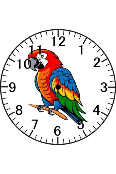 Özcan Tasarım Papağan Model Duvar Saati - Papağanlı Saat ürün görseli
