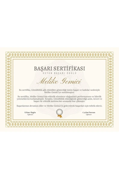 Özcan Tasarım Kişiye Özel Sertifika - Mezuniyet Sertifikası - Başarı Sertifikası ( 10 Adet ) Gold Renk ürün görseli