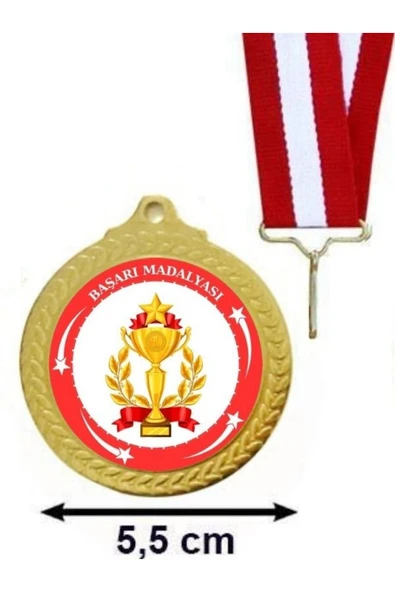 Özcan Tasarım Başarı Madalyası ( 24 Adet ) ürün görseli