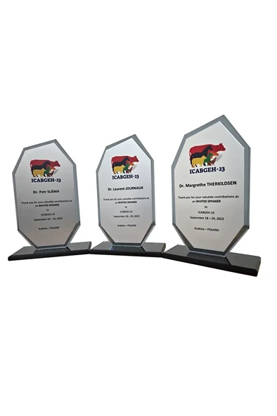 Özcan Tasarım Öğretmene Plaket - Kişiye Özel Plaket - Cam Plaket - Kristal Plaket - Resim 2