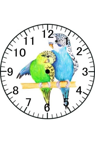 Özcan Tasarım Muhabbet Kuşu Saati - Kuş Model Saat ürün görseli