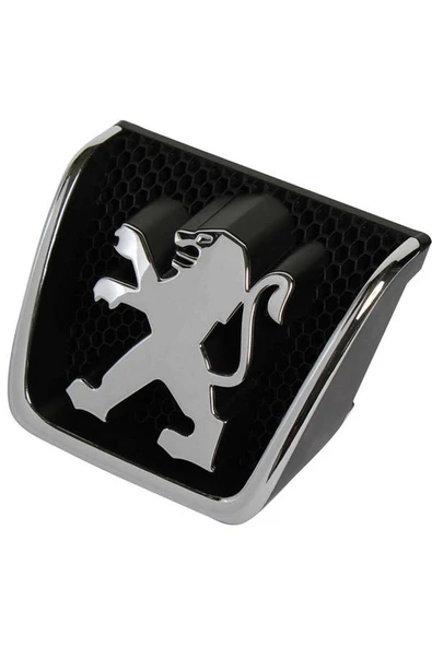 AFT ÖN PANJUR ARMASI P301-P307 01-06 613138 ürün görseli