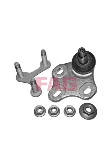 FAG Alt Rotil Ön; Sağ Audı Tt 08/06 Emniyet Somunu Ve Emniyet Sacı Ile ürün görseli