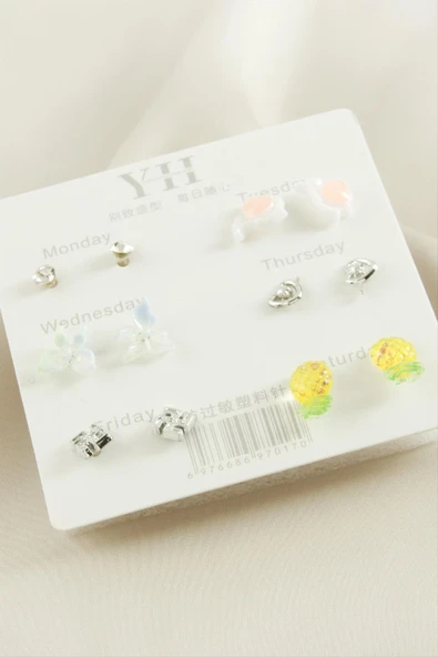 12 Adet Karışık Metal Taşlı Küpe ürün görseli