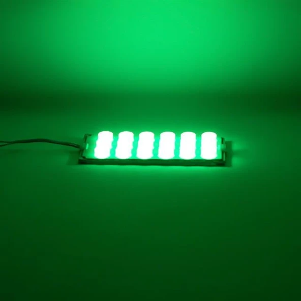 Powermaster 12 Volt 6 Watt Yeşil 18 Ledli 2'Li Paket Yanıp Sönen Modül Led - Resim 2