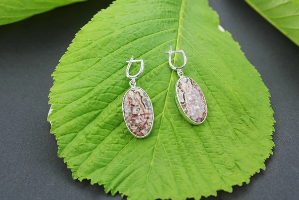 Akik Taşlı Gümüş  Çerçeve Küpe ürün görseli 1